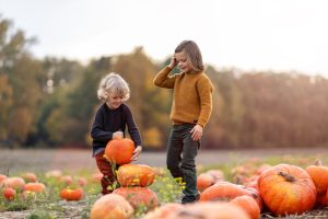 Two kids picking pumpkins; halloween activities for families