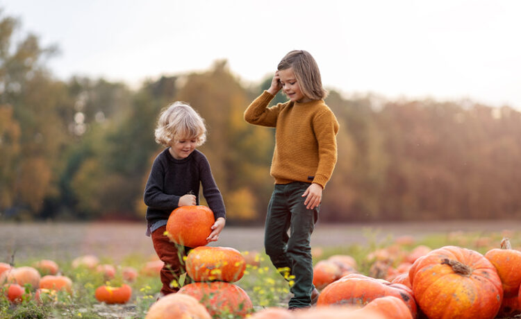 Two kids picking pumpkins; halloween activities for families