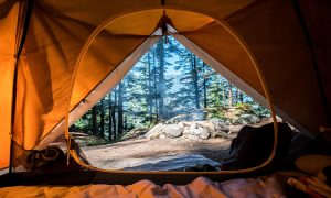 camping tent looking out, fall essentials