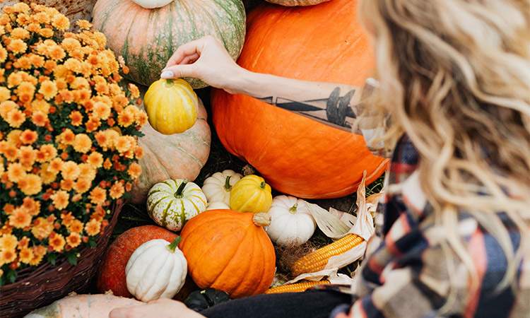 fun fall activities, woman picking a pumpkin out