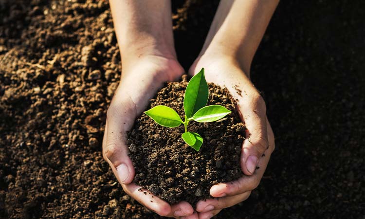 woman holding plant in hand, earth day 2022